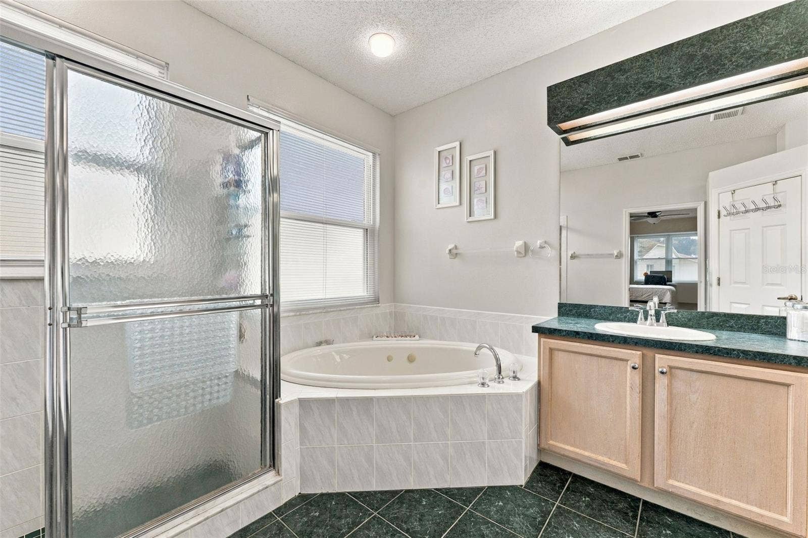 Primary Bathroom with Walk-In Shower and Tub