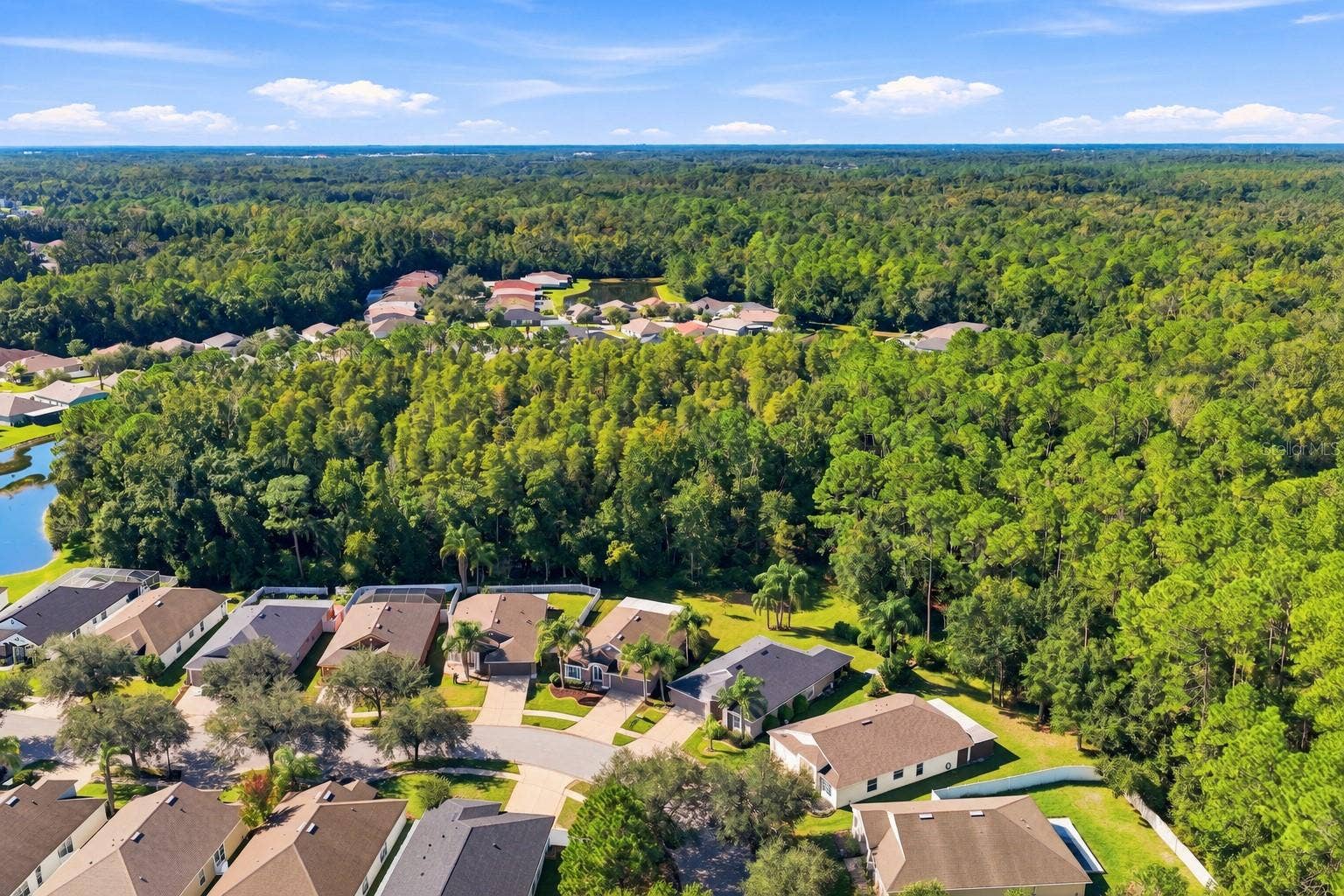 5229 ALGERINE PLACE, Wesley Chapel, FL 33544 5229 ALGERINE PLACE, Wesley Chapel, FL 33544