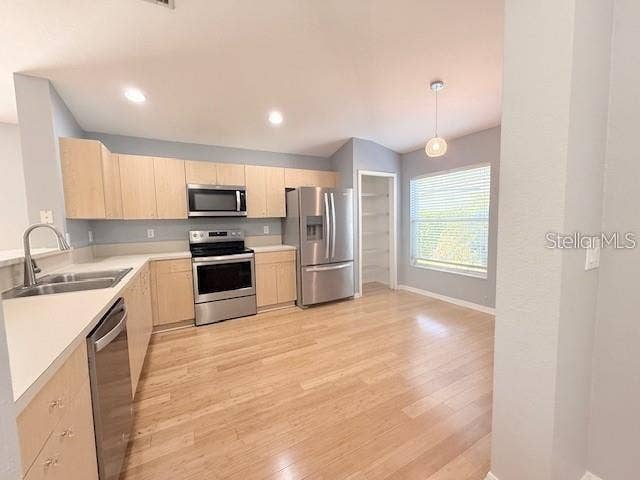 11424 COCONUT ISLAND DRIVE, Riverview, FL 33569 Kitchen