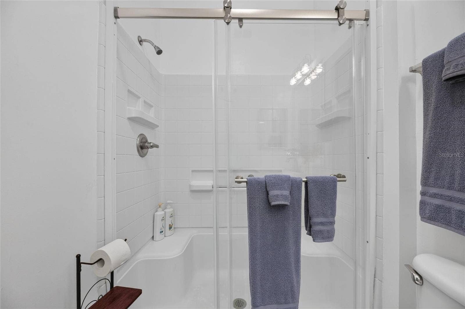 828 TREMONT GREENS LANE, #134, Sun City Center, FL 33573 Primary step in shower