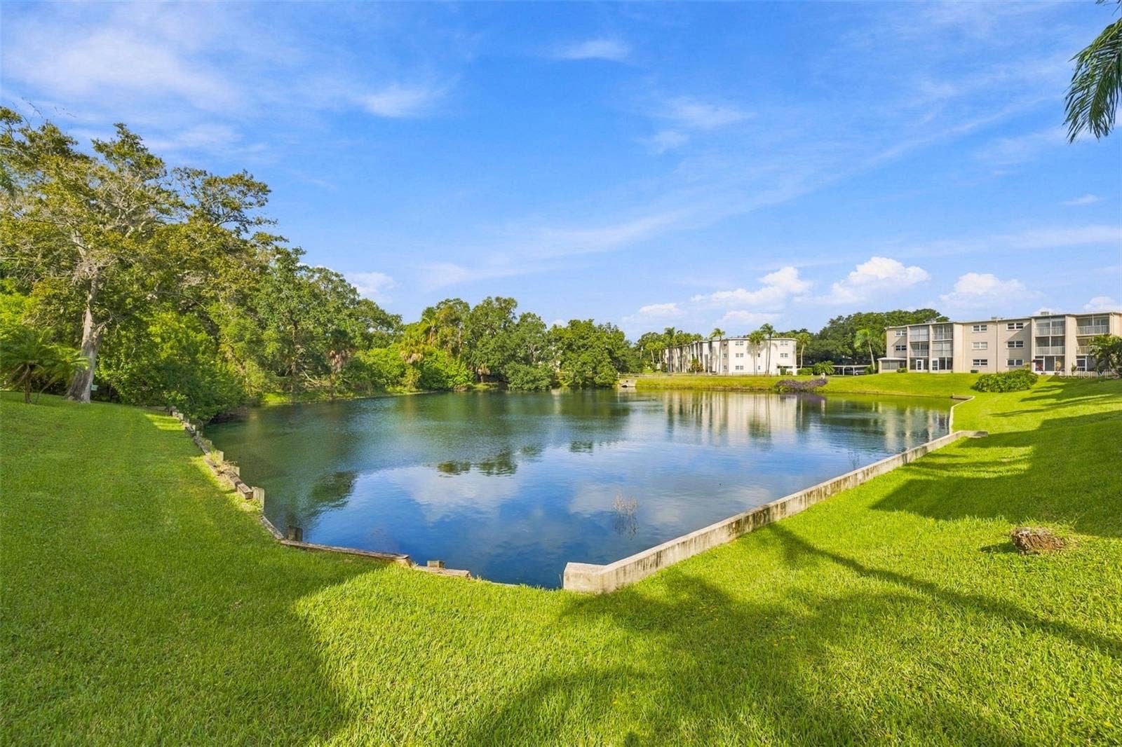 960 VIRGINIA STREET, #206, Dunedin, FL 34698 960 VIRGINIA STREET, #206, Dunedin, FL 34698