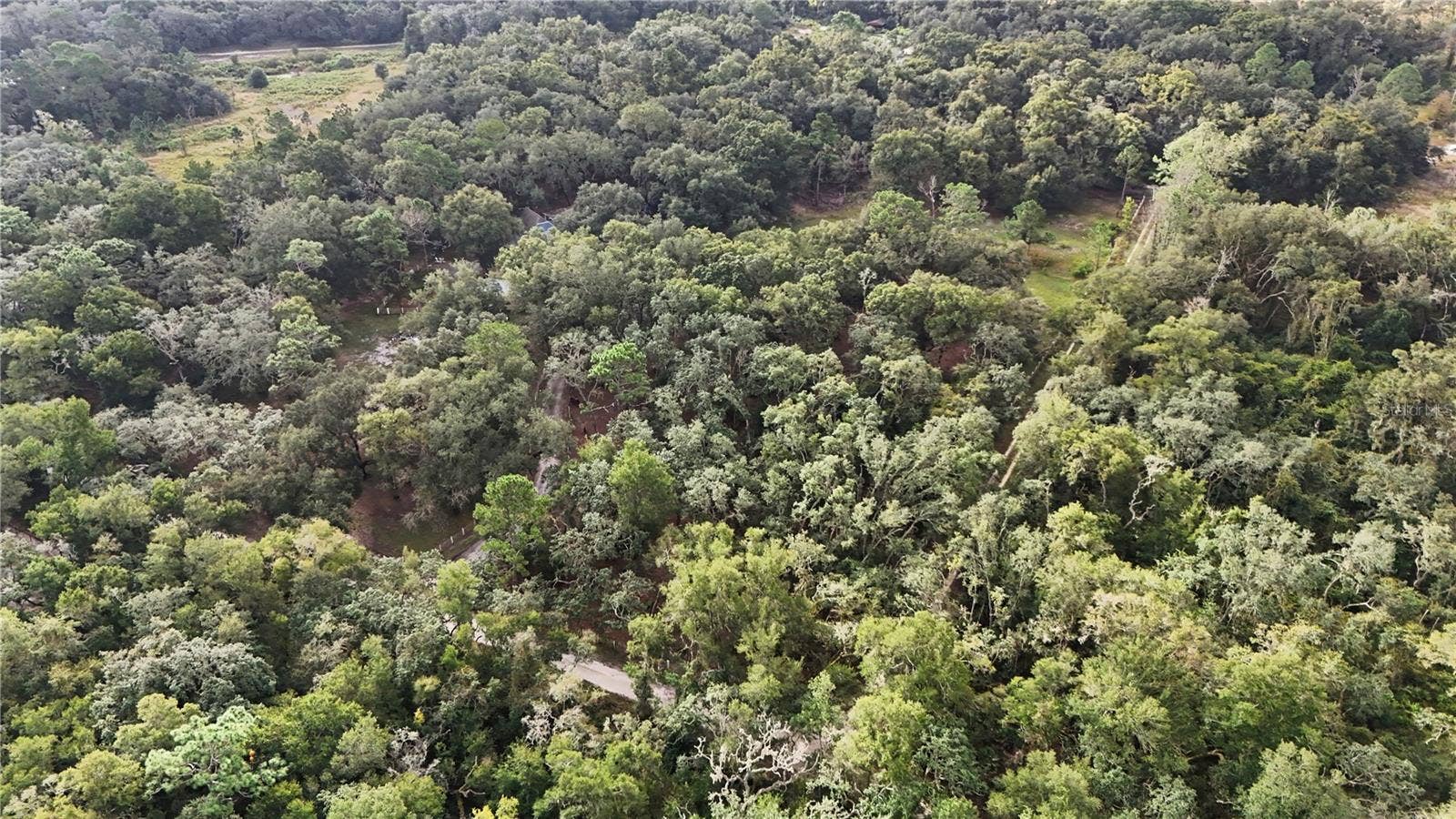 34192 OAK HAMMOCK DRIVE, Dade City, FL 33523 34192 OAK HAMMOCK DRIVE, Dade City, FL 33523
