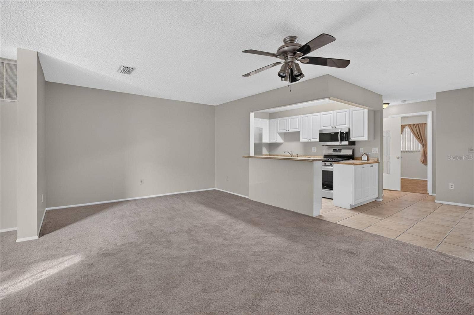 Open Living/Dining/Kitchen