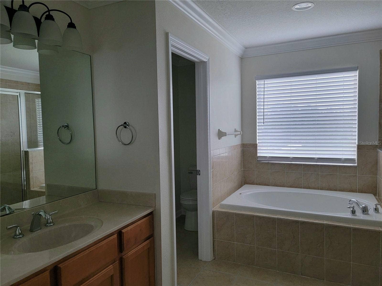 19023 NARIMORE DRIVE, Land O Lakes, FL 34638 Master bath