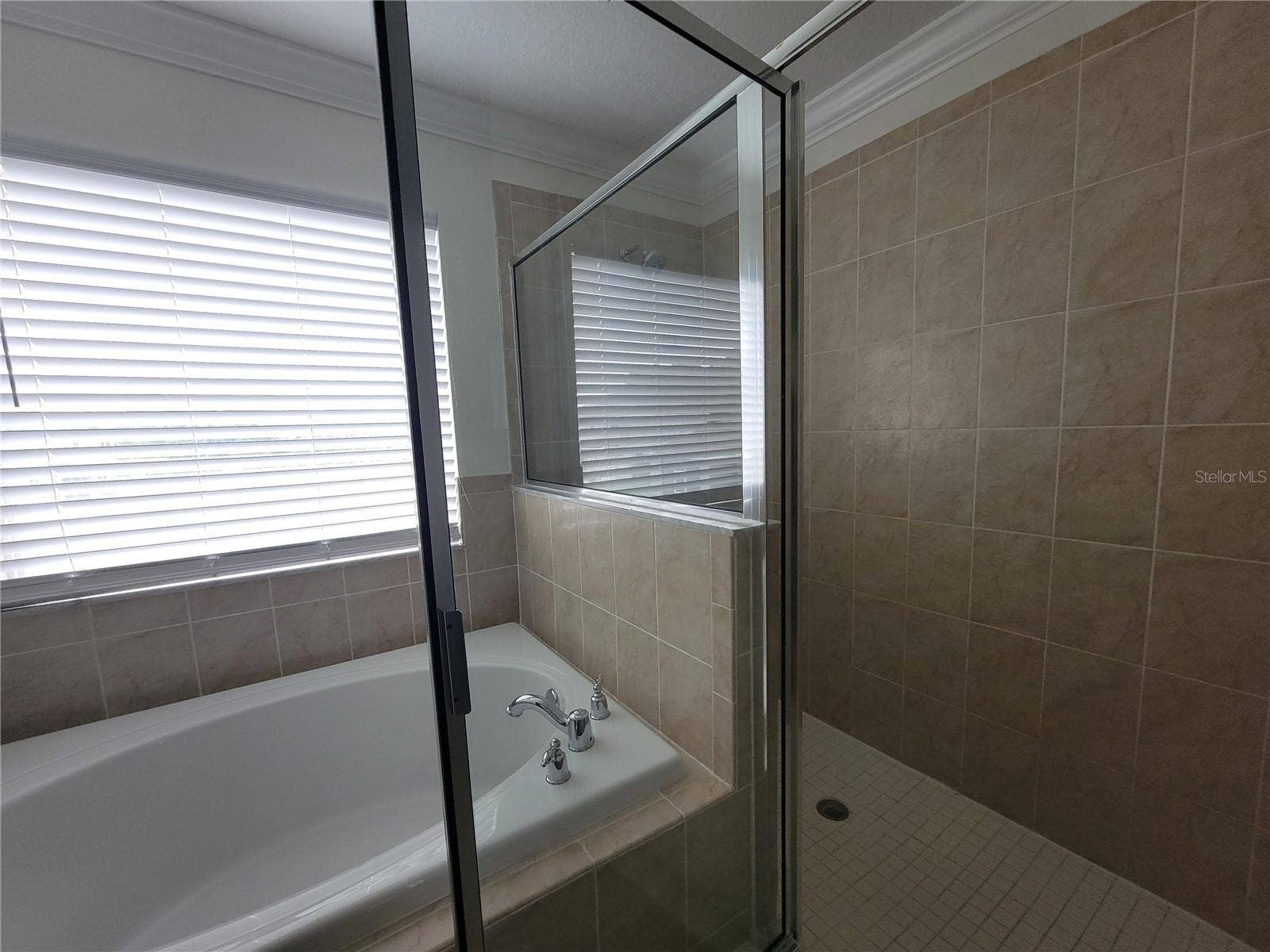 19023 NARIMORE DRIVE, Land O Lakes, FL 34638 Master shower