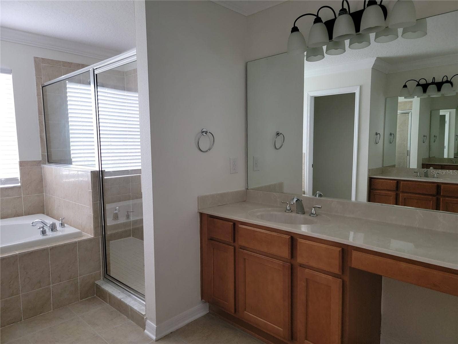 19023 NARIMORE DRIVE, Land O Lakes, FL 34638 Master bath