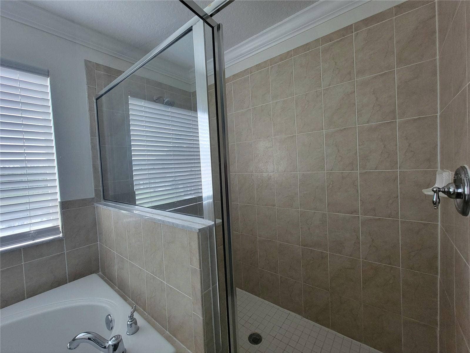 19023 NARIMORE DRIVE, Land O Lakes, FL 34638 Master shower