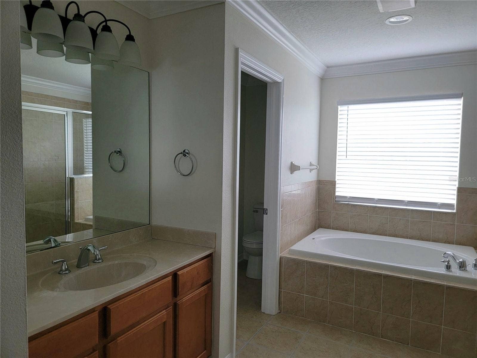19023 NARIMORE DRIVE, Land O Lakes, FL 34638 Master bath