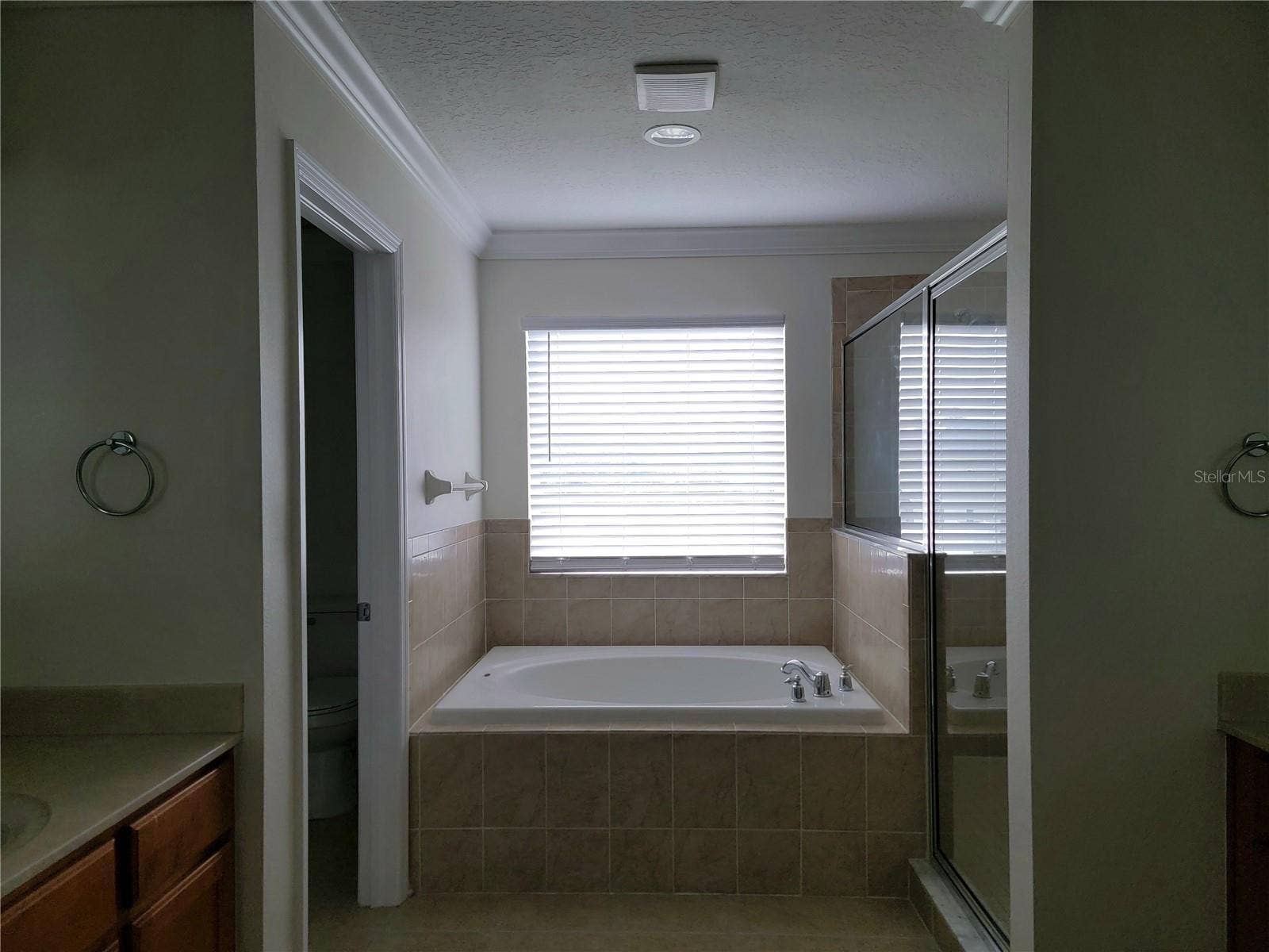 19023 NARIMORE DRIVE, Land O Lakes, FL 34638 Master bath
