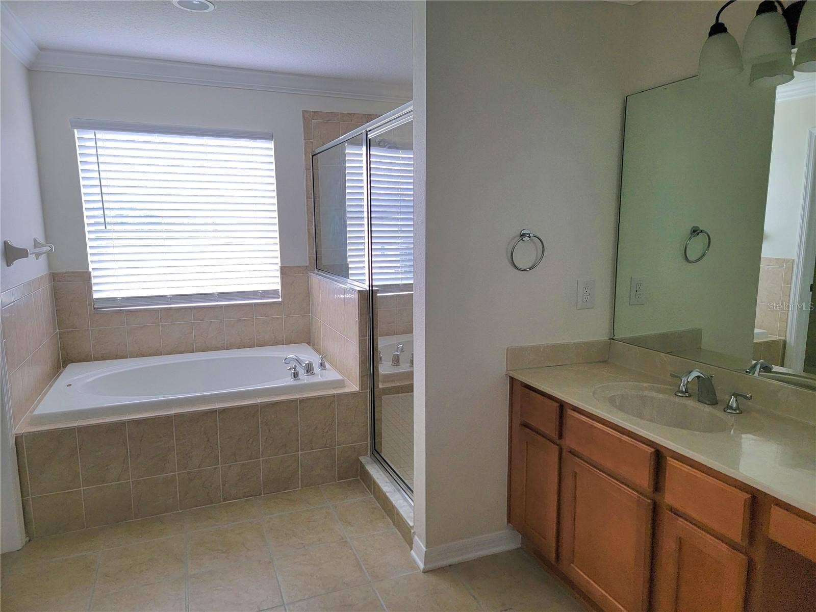 19023 NARIMORE DRIVE, Land O Lakes, FL 34638 Master bath
