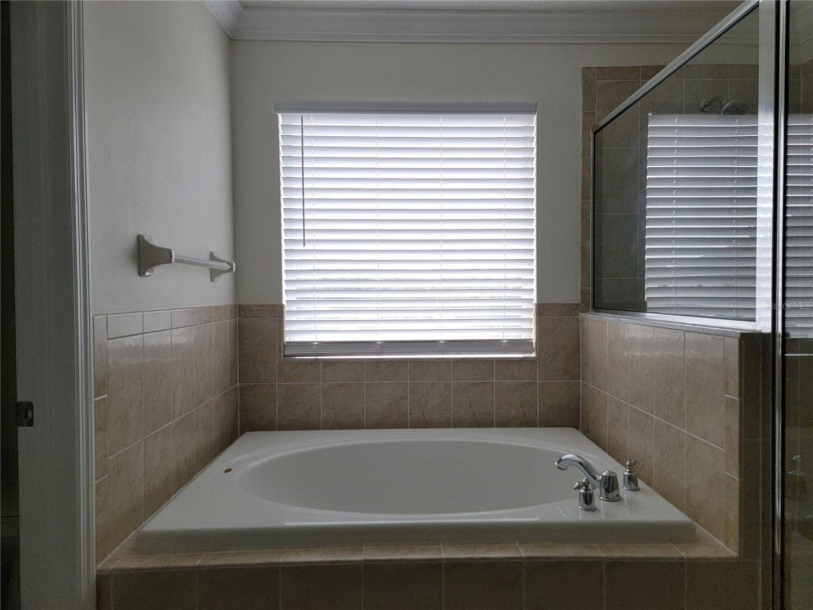 19023 NARIMORE DRIVE, Land O Lakes, FL 34638 Master Bathtub