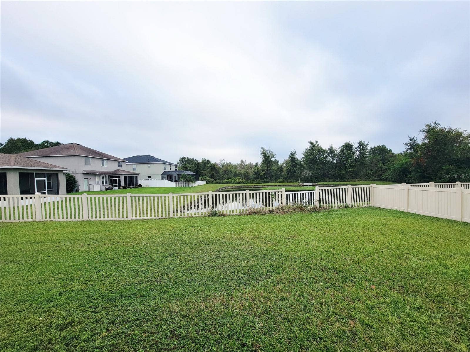 19023 NARIMORE DRIVE, Land O Lakes, FL 34638 Backyard