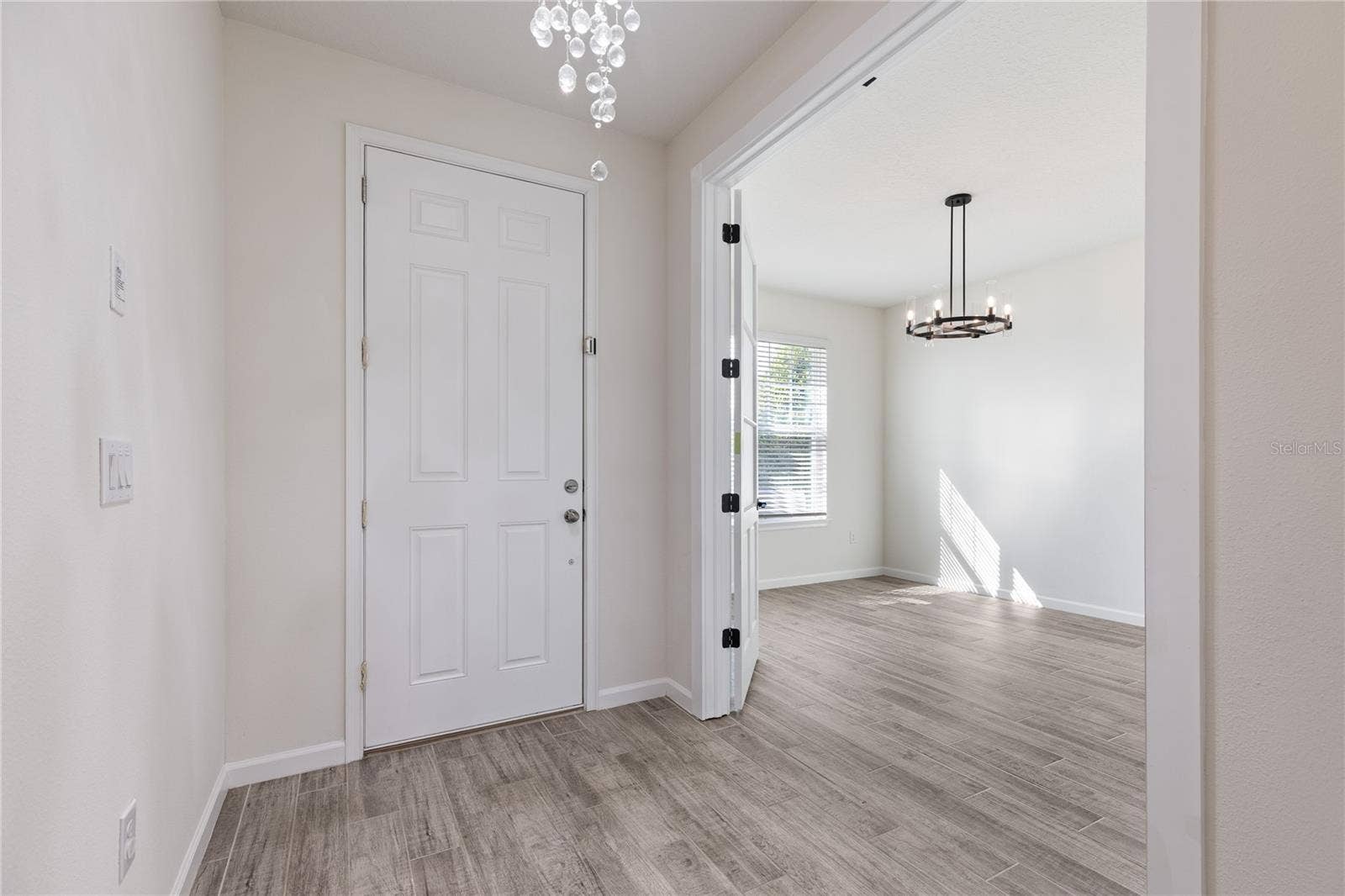 1007 LEE SHORE STREET, Valrico, FL 33594 Front door inside and Front bonus room pic 1