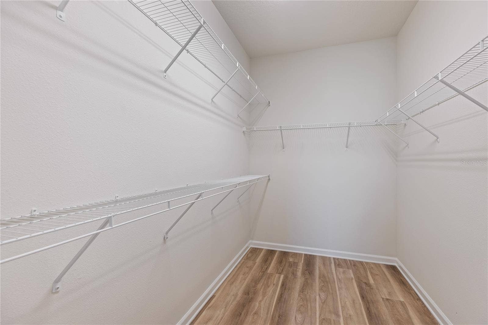 1007 LEE SHORE STREET, Valrico, FL 33594 Primary bedroom walk in closet 1