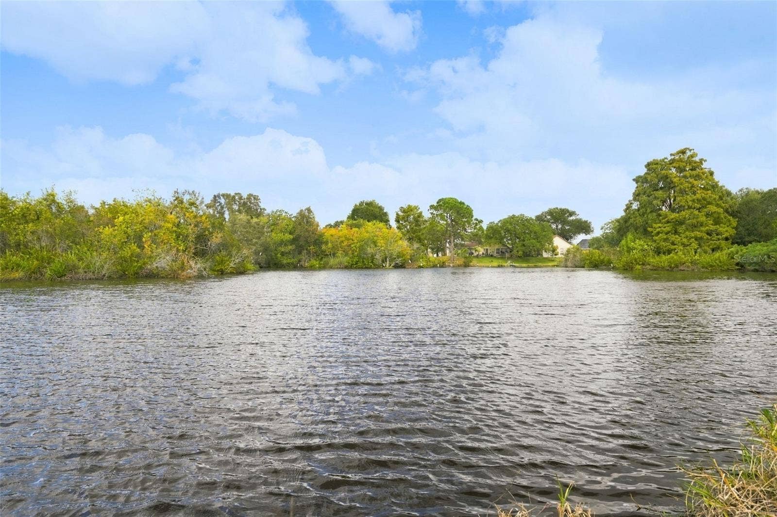 770 ARTHURS COURT, Tarpon Springs, FL 34689 Enjoy watching the Wildlife around the Lake