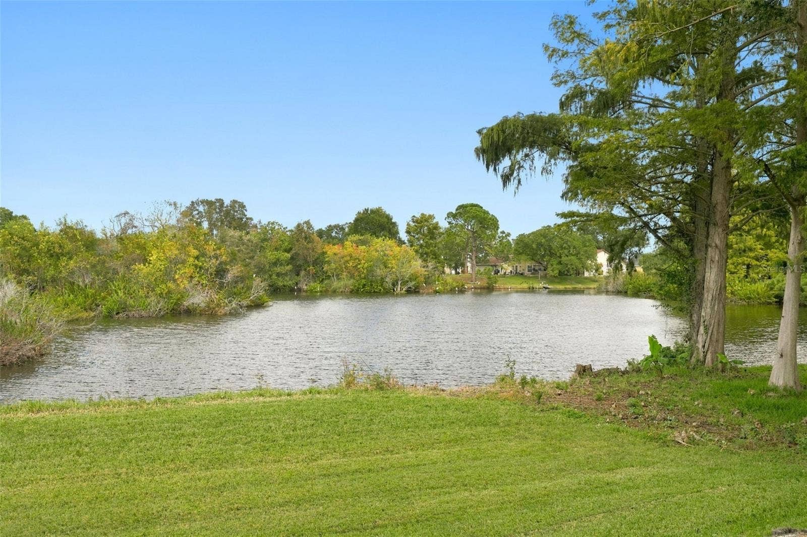 770 ARTHURS COURT, Tarpon Springs, FL 34689 View of the Lake