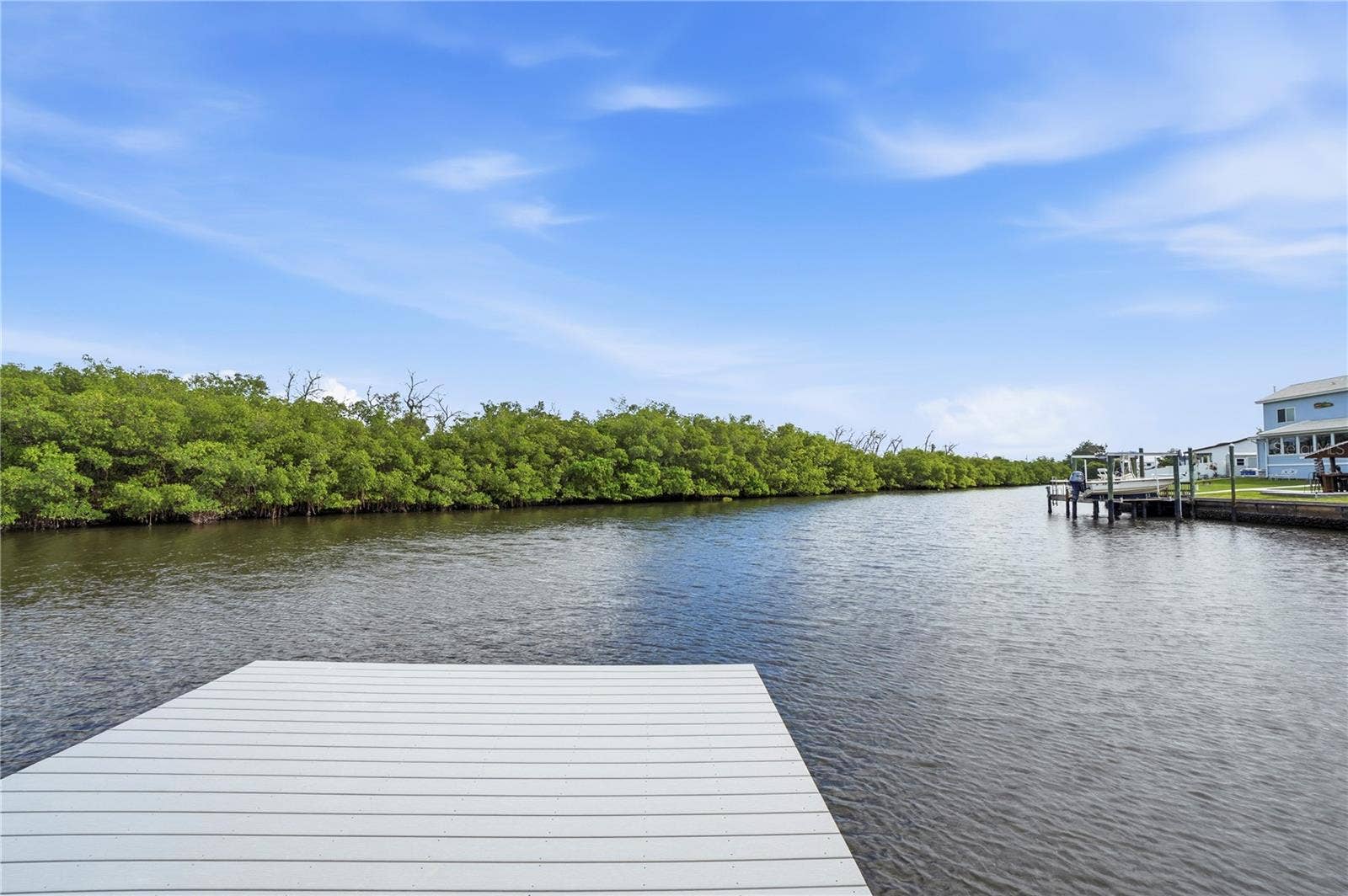 6533 SENEGAL PALM WAY, Apollo Beach, FL 33572