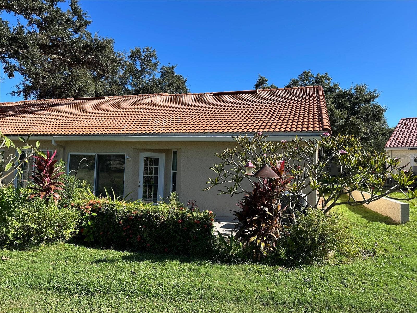 1130 RUSTLEWOOD COURT, Palm Harbor, FL 34684 Back View