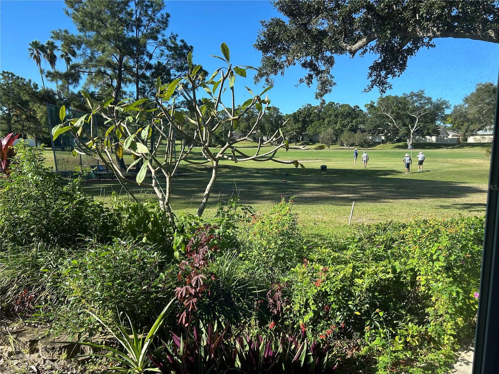 1130 RUSTLEWOOD COURT, Palm Harbor, FL 34684 Overlooking Golf Course