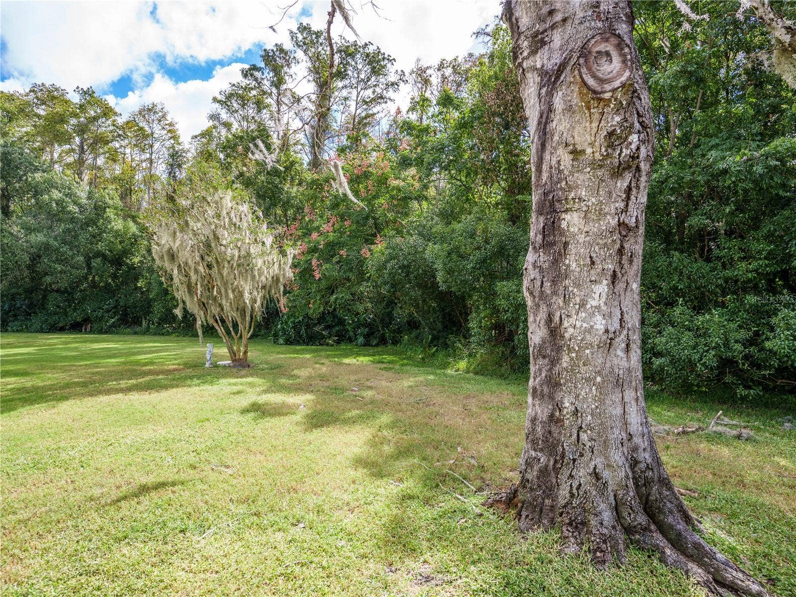 9730 CAVENDISH COURT, New Port Richey, FL 34655 9730 CAVENDISH COURT, New Port Richey, FL 34655