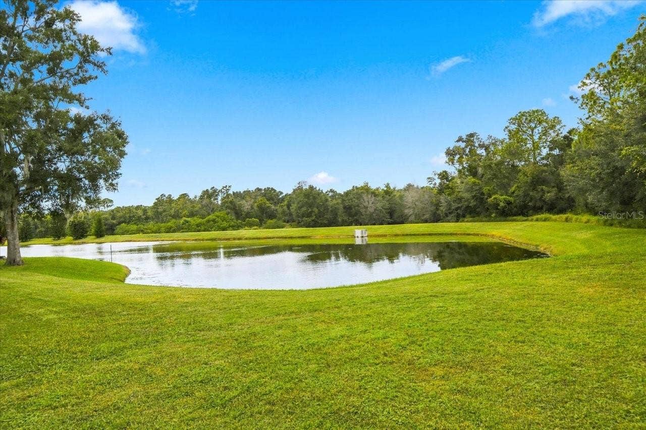5909 BROWDER ROAD, Tampa, FL 33625 5909 BROWDER ROAD, Tampa, FL 33625