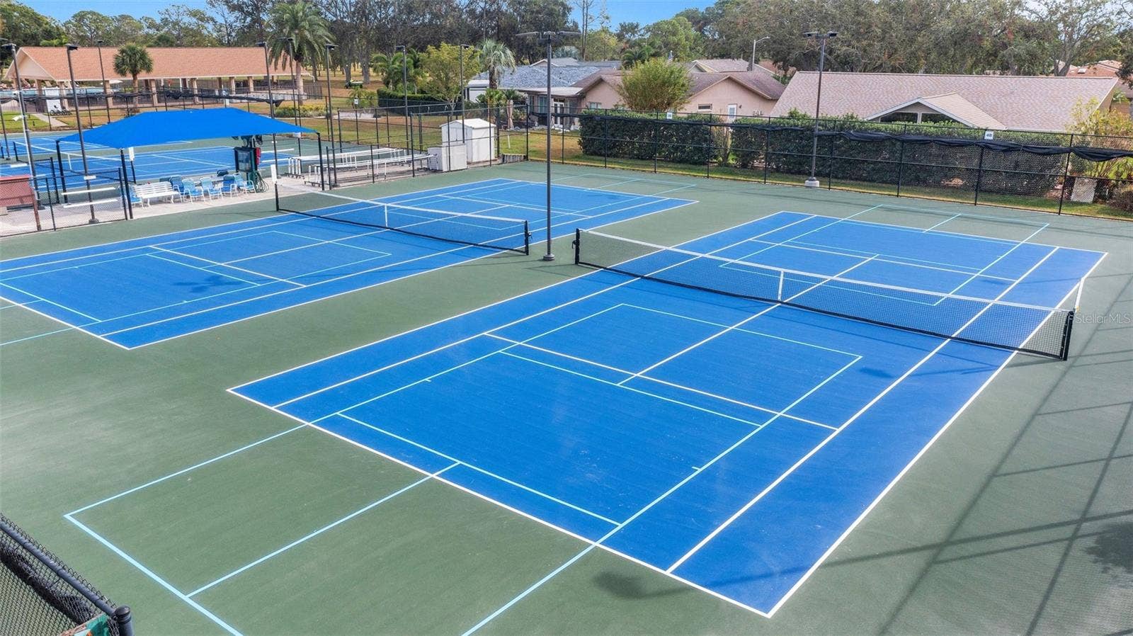 1146 RUSTLEWOOD COURT, Palm Harbor, FL 34684 Tennis & Pickleball leagues with beginner clinics~