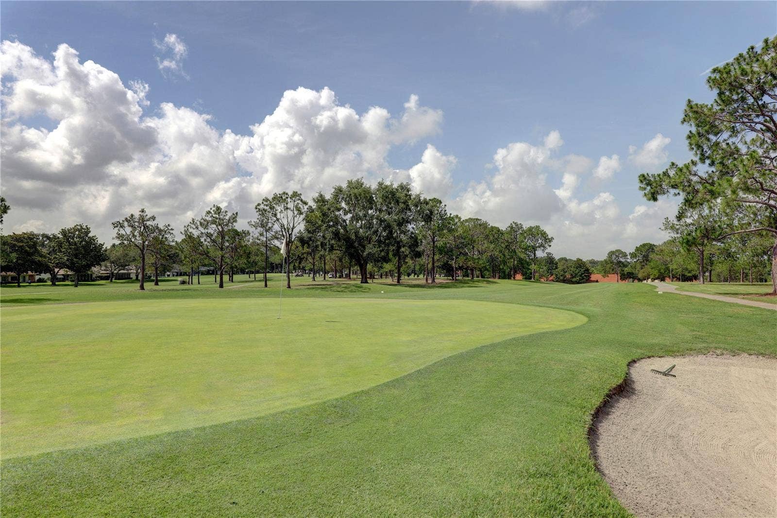 1146 RUSTLEWOOD COURT, Palm Harbor, FL 34684 3 private 9-hole executive courses to choose from~