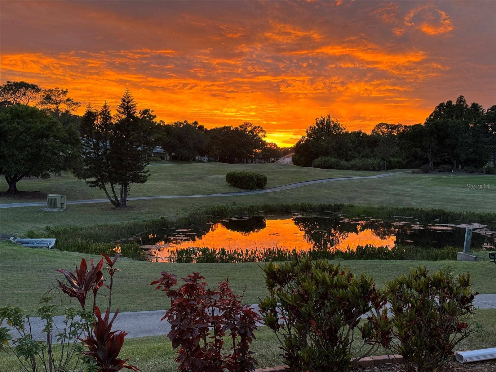 1146 RUSTLEWOOD COURT, Palm Harbor, FL 34684 Amazing sunset photo provided by the seller; imagine sitting on your back patio soaking up this view~