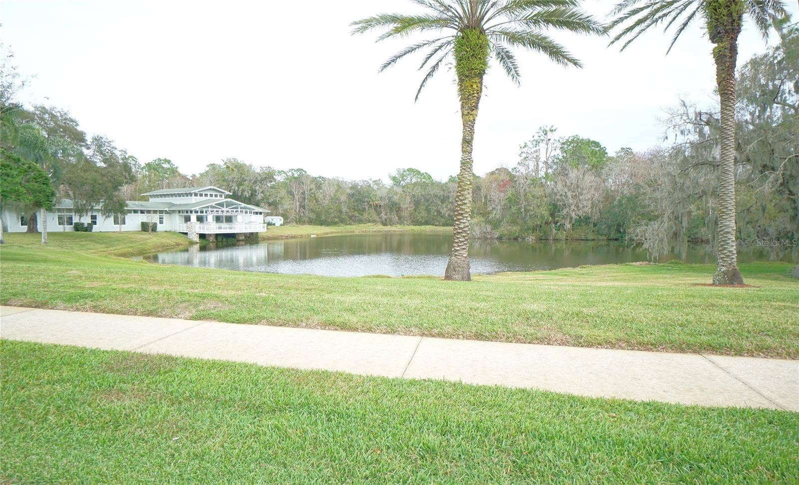3807 TURKEY OAK DRIVE, Valrico, FL 33596