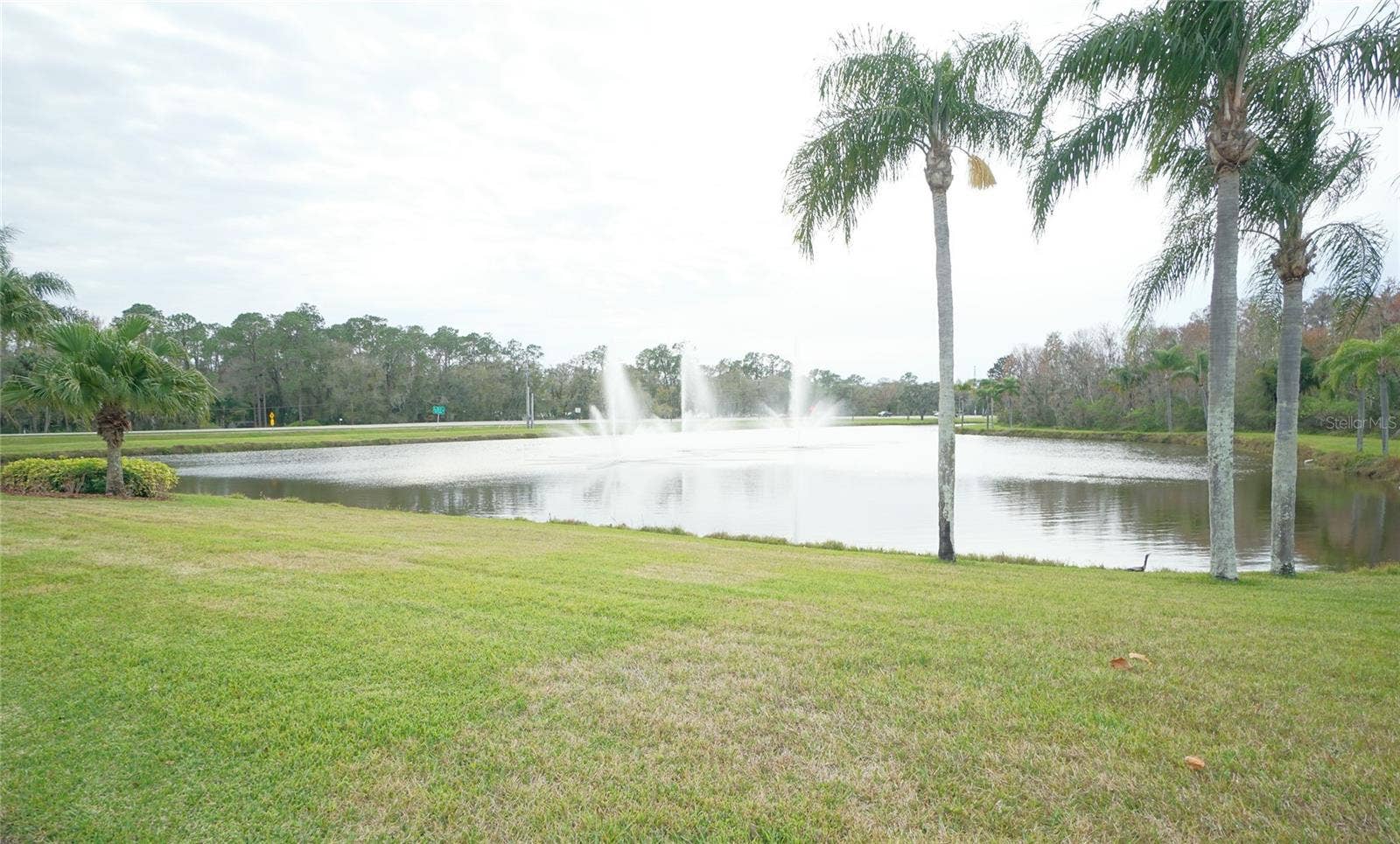 3807 TURKEY OAK DRIVE, Valrico, FL 33596