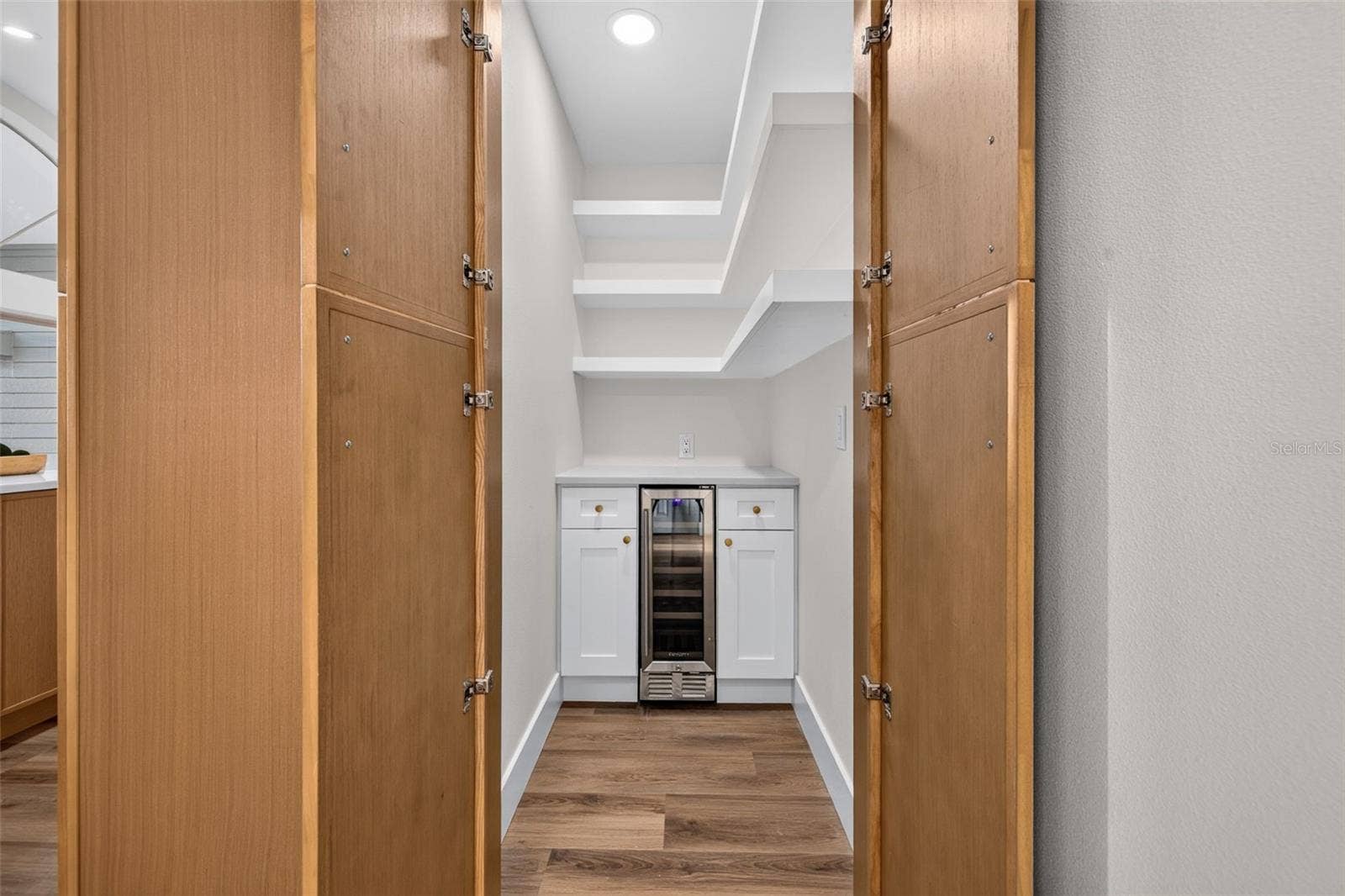 Walk in hidden Pantry