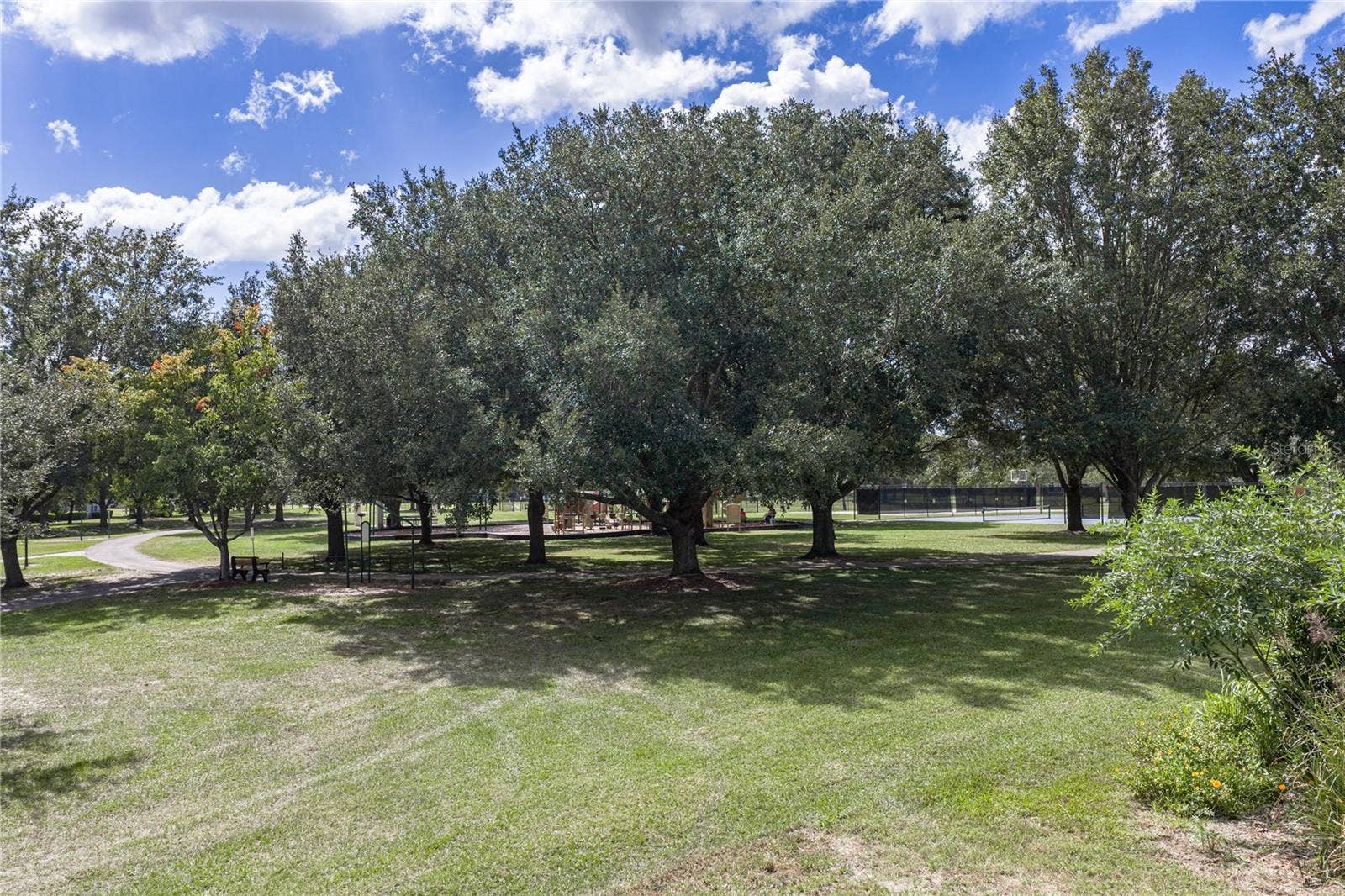 14194 THOROUGHBRED DRIVE, Dade City, FL 33525 14194 THOROUGHBRED DRIVE, Dade City, FL 33525