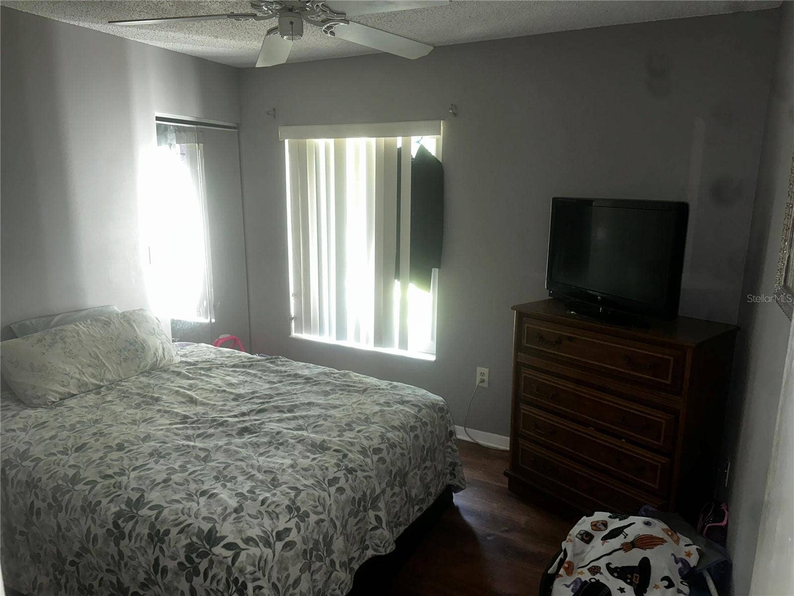 2600 PINE RIDGE WAY S, #B2, Palm Harbor, FL 34684 Bedroom 2 from the door