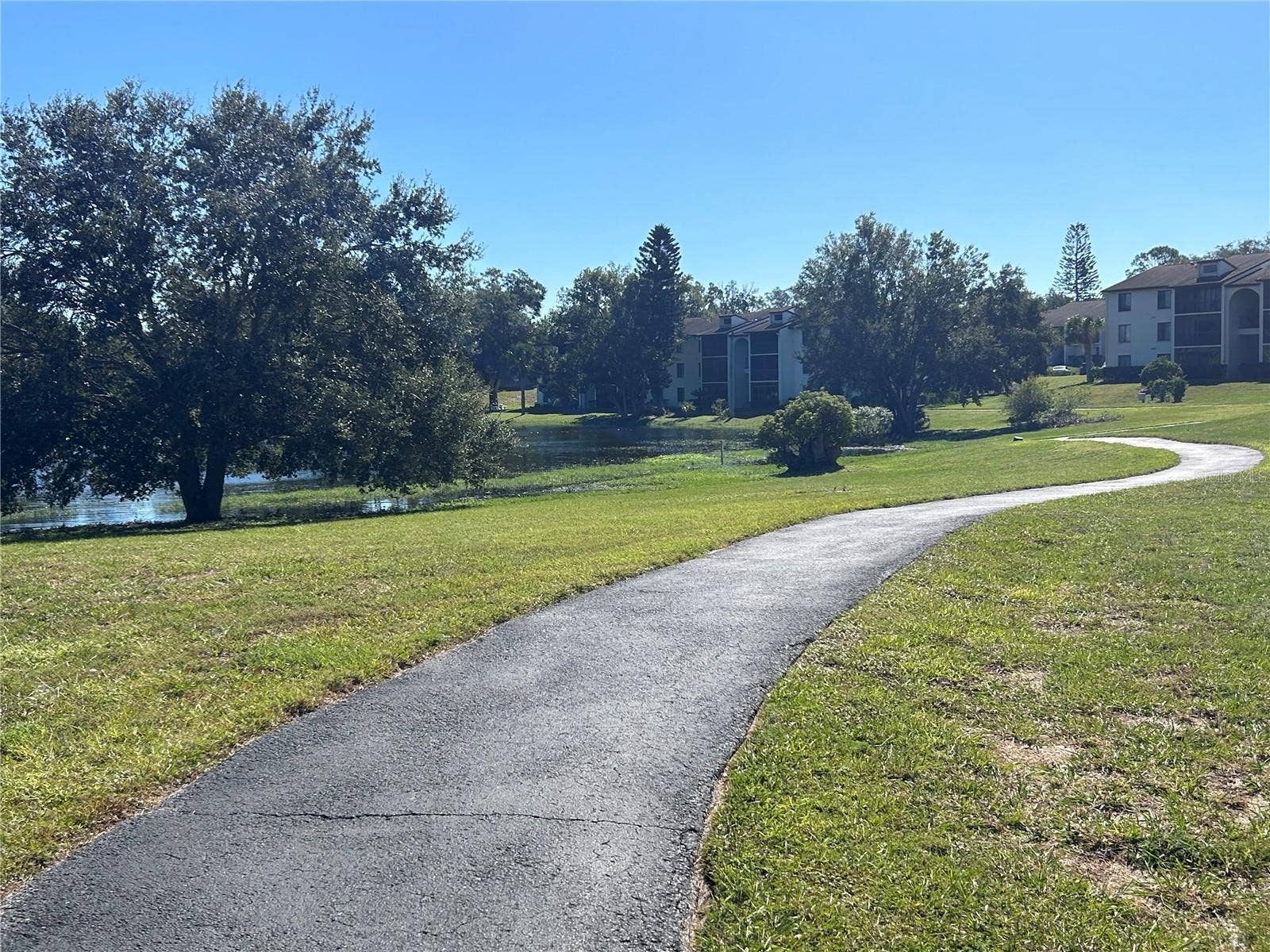 2600 PINE RIDGE WAY S, #B2, Palm Harbor, FL 34684 2600 PINE RIDGE WAY S, #B2, Palm Harbor, FL 34684