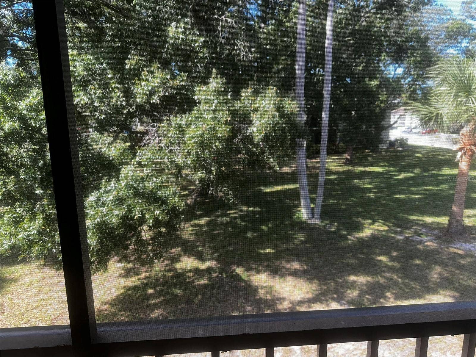 2600 PINE RIDGE WAY S, #B2, Palm Harbor, FL 34684 View from balcony
