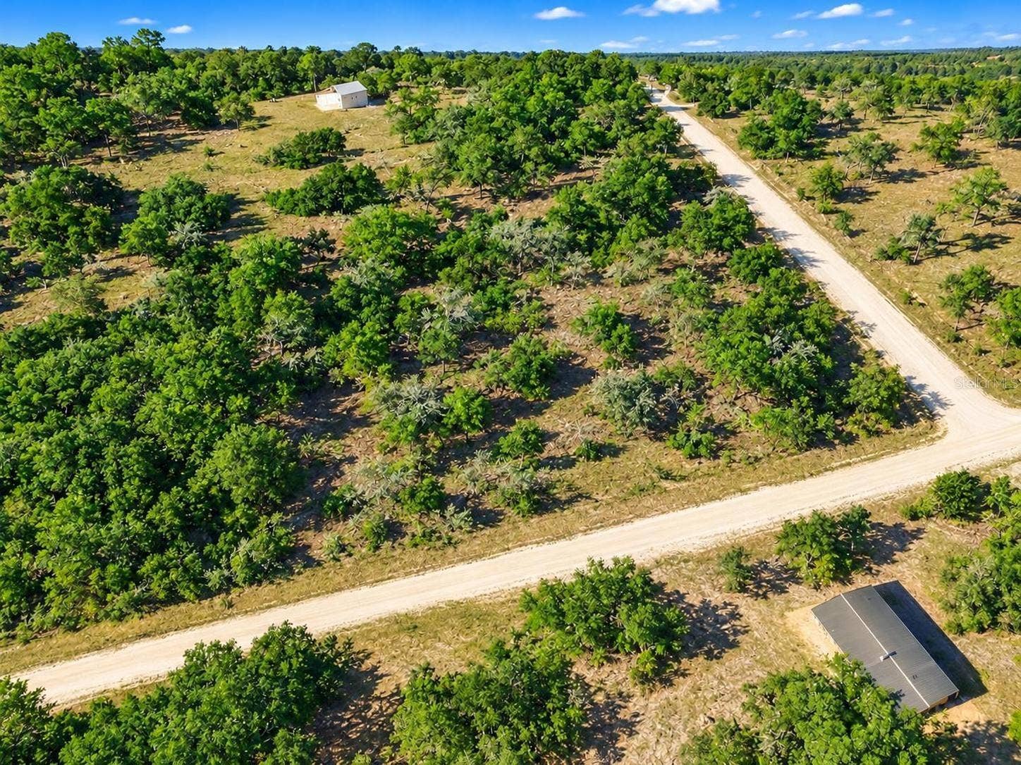 21330 & 21360 SE 71ST STREET, Morriston, FL 32668 21330 & 21360 SE 71ST STREET, Morriston, FL 32668