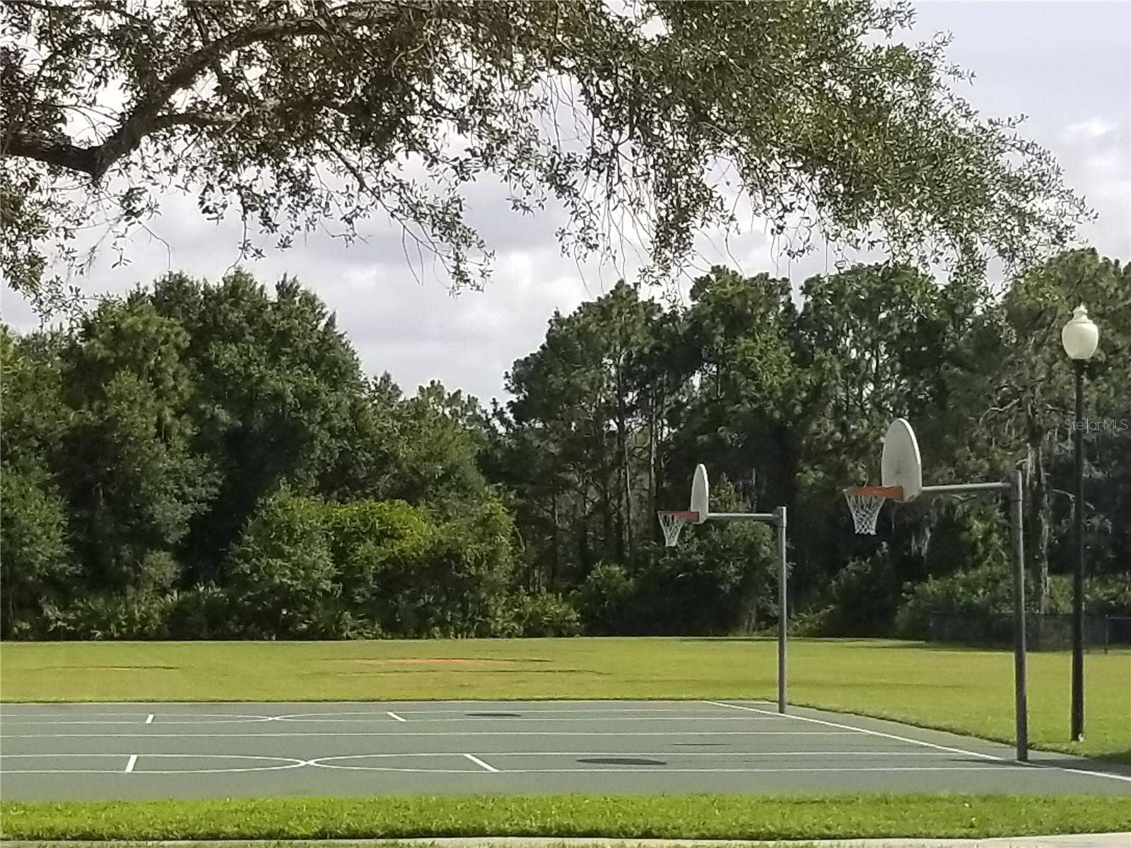 basketball