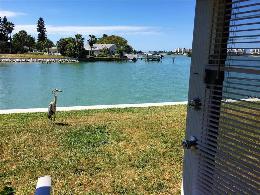 Property photo for 1898 SHORE DRIVE S, #102, South Pasadena, FL