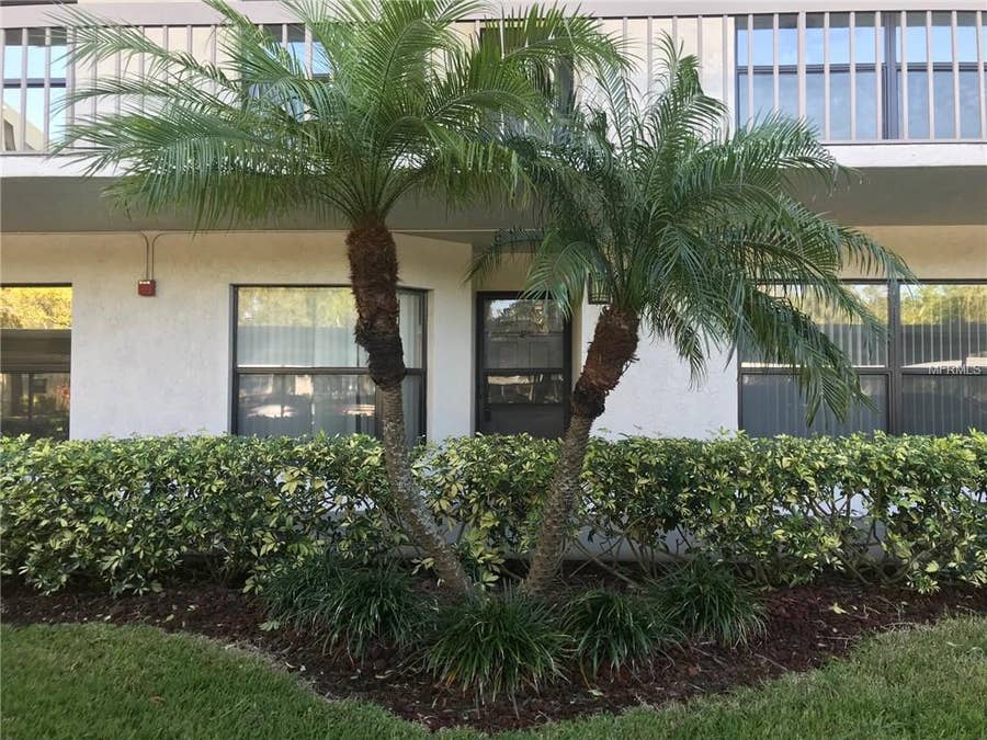 Property photo for 1324 PASADENA AVENUE S, #103, South Pasadena, FL