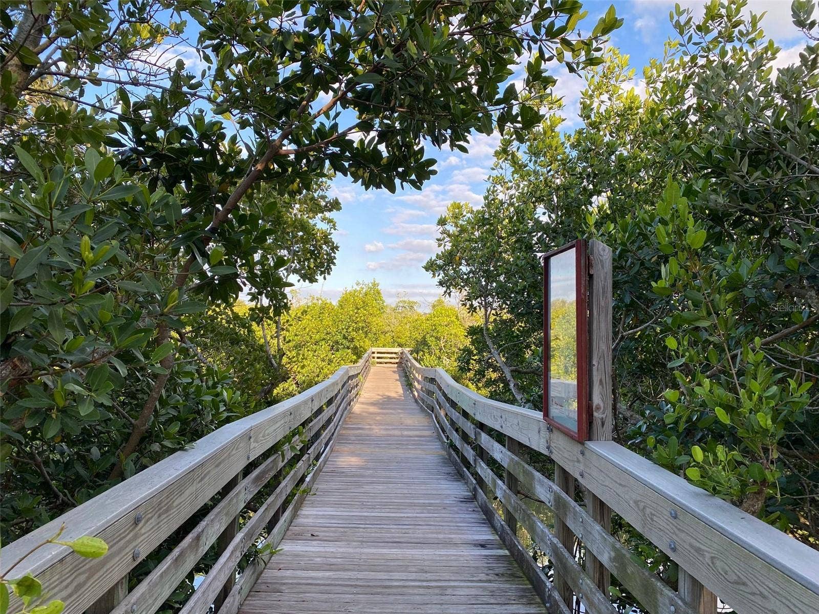 WHISPERING PINES DRIVE, Indian Shores, FL 33785 A Leisurely Walk Through The Mangroves