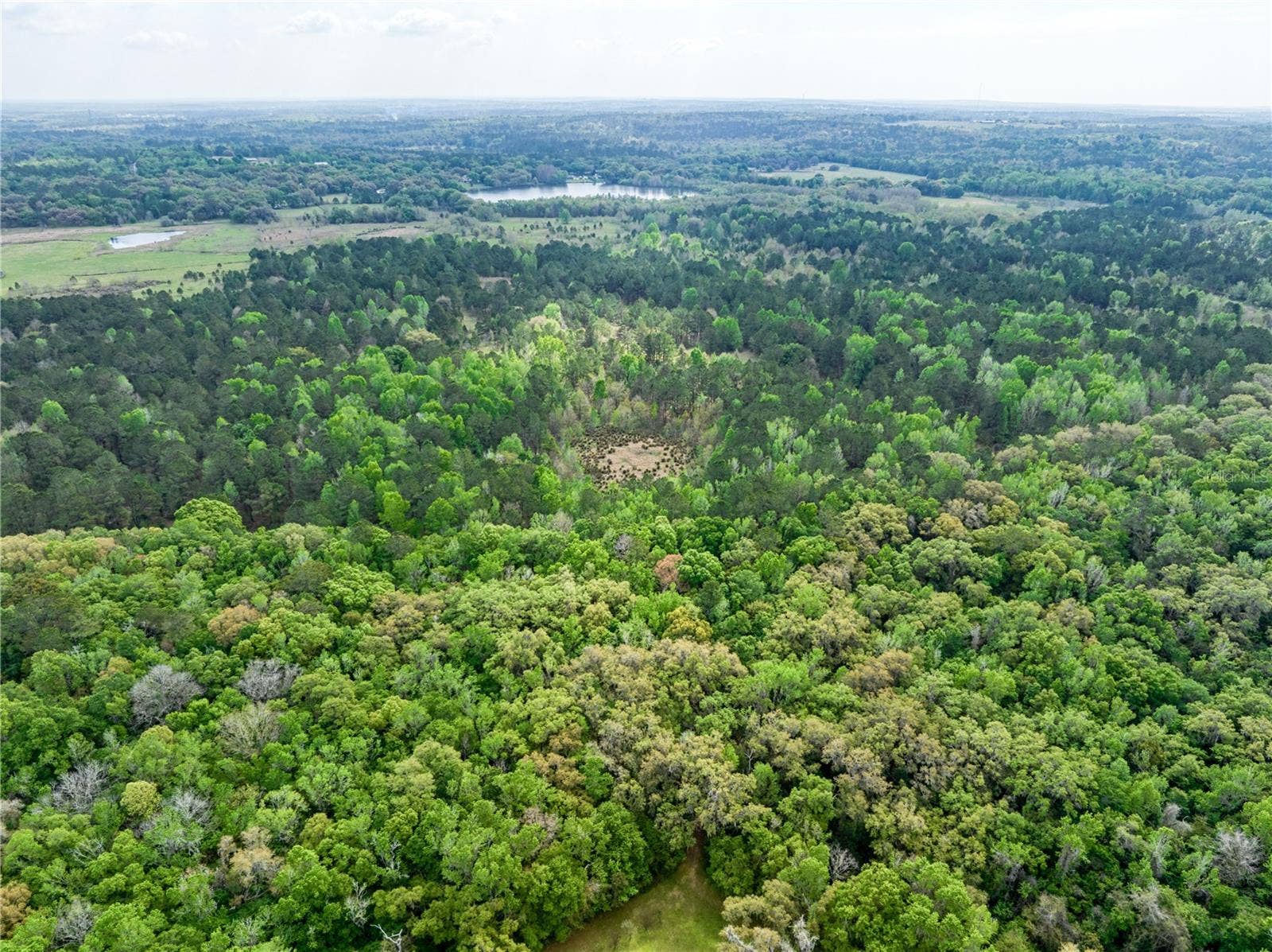22374 CORTEZ BOULEVARD, Brooksville, FL 34601 22374 CORTEZ BOULEVARD, Brooksville, FL 34601