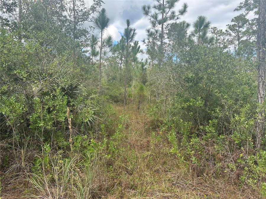 Property photo for 1106 GREENBRIAR DRIVE, Christmas, FL