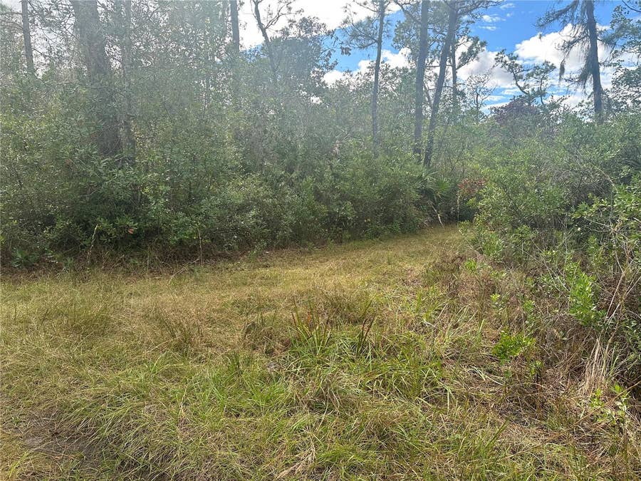 Property photo for 1112 GREENBRIAR DRIVE, Christmas, FL