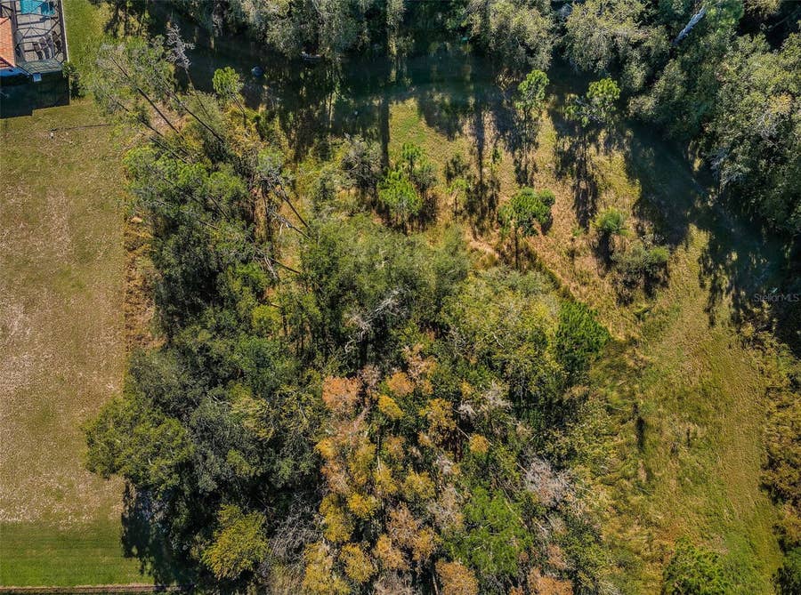 Property photo for 4445 LANSBROOK PARKWAY, Palm Harbor, FL