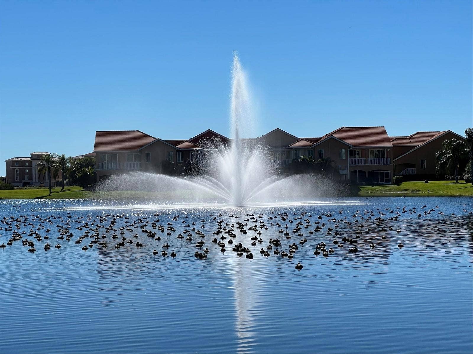 47A BAYVIEW COURT S, St Petersburg, FL 33711 Main fountain at Marina Bay with participating guests.