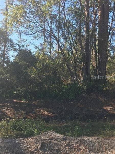 Property photo for HILL PAPER AVENUE, Deltona, FL