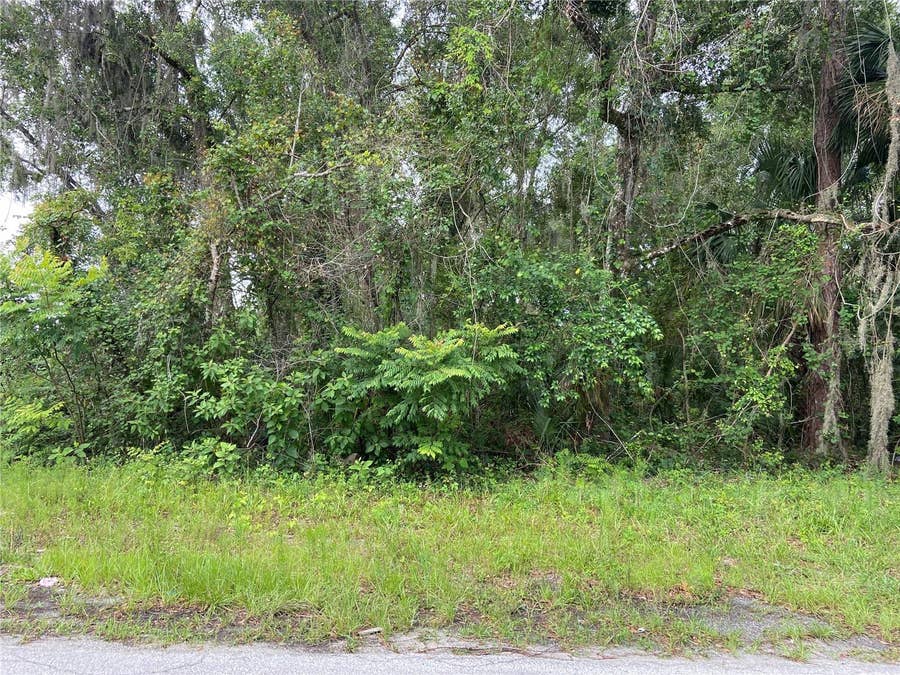 Property photo for WILSON AVENUE, Deland, FL