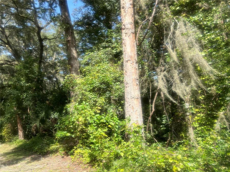 Property photo for 1215 ARREDONDO GRANT ROAD, De Leon Springs, FL
