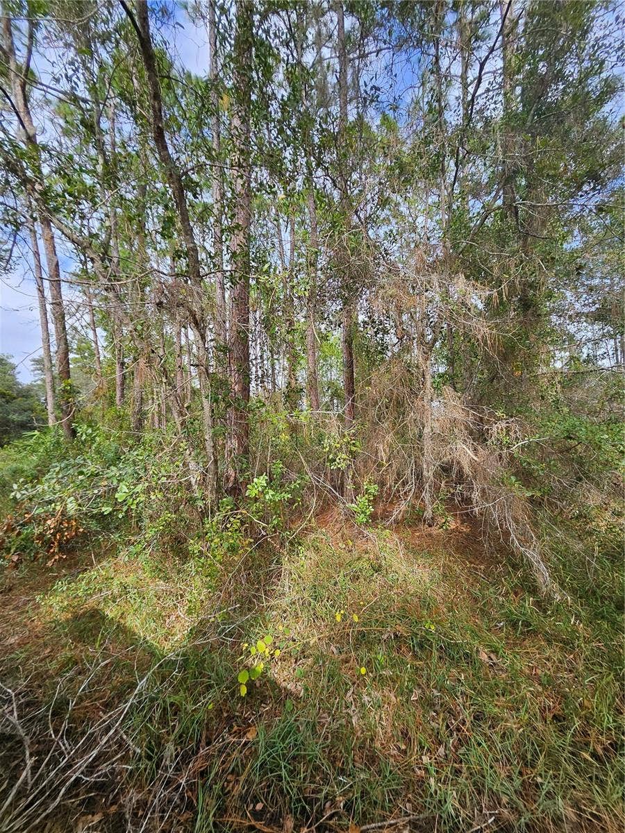 Property photo for Deltona, FL