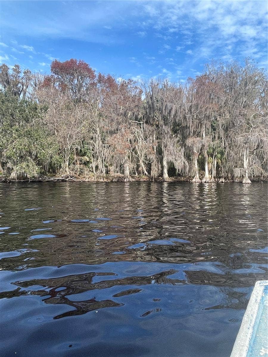 Property photo for 233 STELLA ROAD, Georgetown, FL